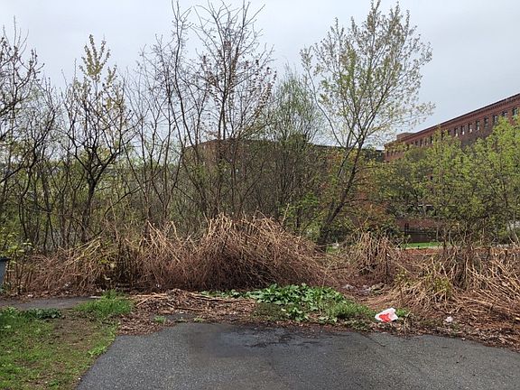 5th image of 4 Lowell Street Ct
