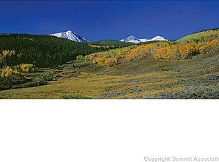 50 E Benjamin Point Way, Silverthorne, CO 80498