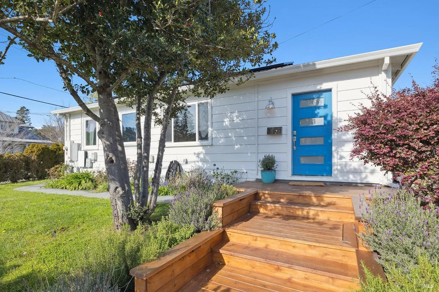 277 Sycamore Avenue photo 1