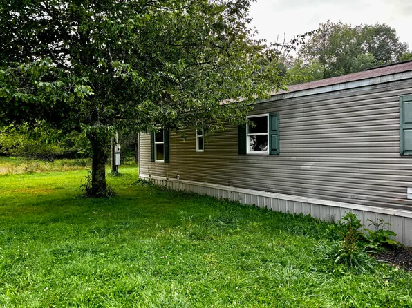 1068 Grassy Creek Rd, Leivasy, WV 26676