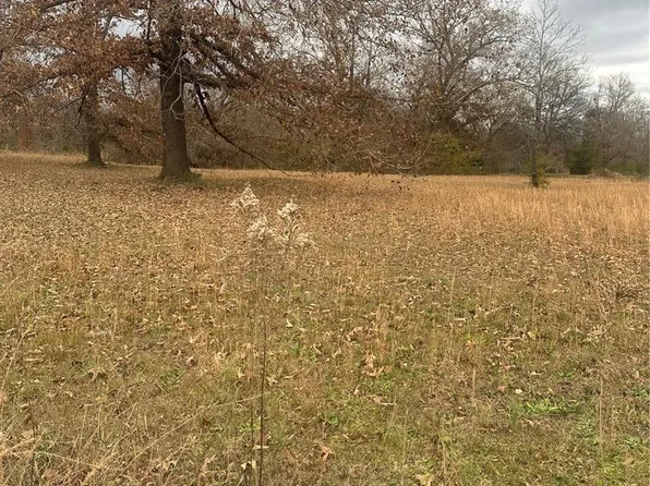 LOT 53 Lingo Ranchette, Doniphan, MO 63935