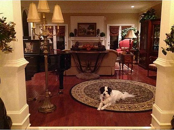 Great room