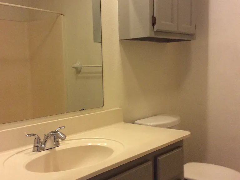 472 Shady Bluff Dr — Photo 6