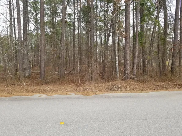 0 Sorin Cir, Elloree, SC 29047