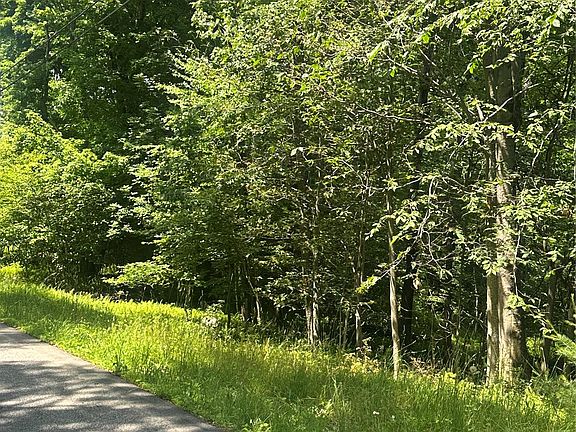 3rd image of Oak Ridge Road