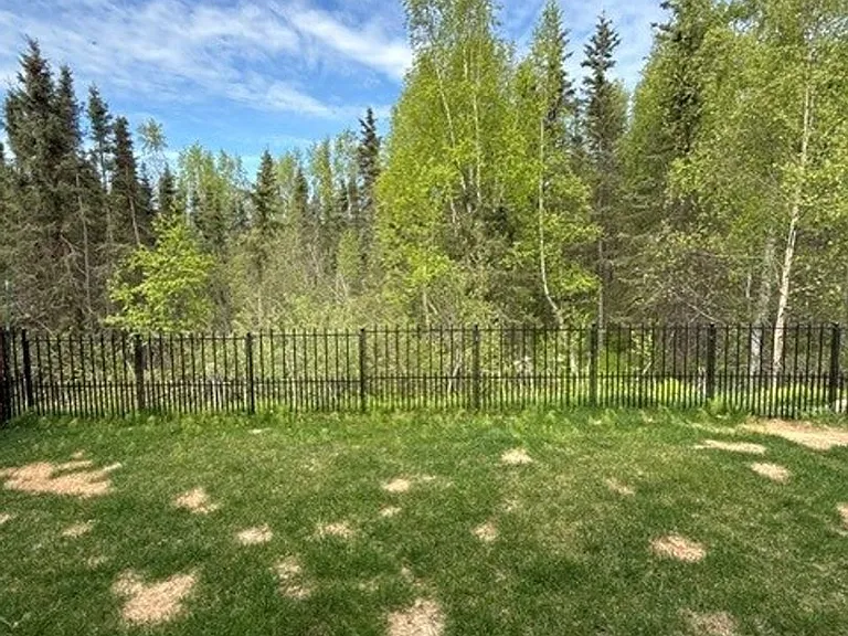13664 Fire Creek Trail Dr — Photo 22