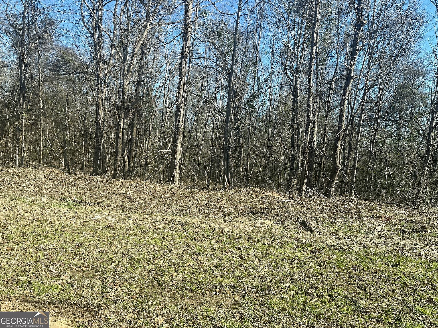 0 Riggins Millis Rd, Jeffersonville, GA 31044 MLS 10243701 Zillow