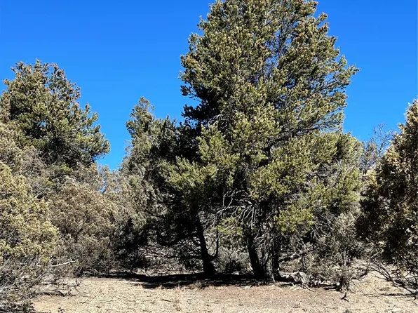 0 Willow Creek Rd, Los Ojos, NM 87551