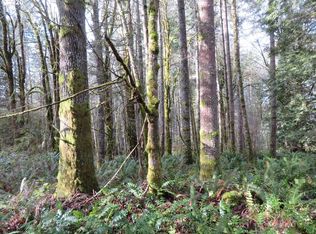 Pleasant Valley Rd, Adna, WA 98522