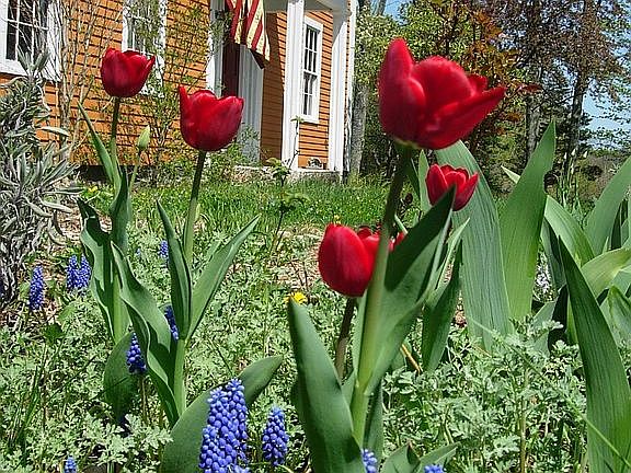 One of the gardens in spring