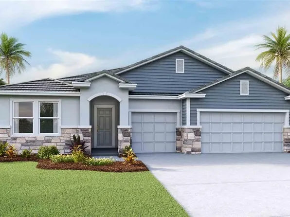 23242 Pachinio Way, Lutz, FL 33549