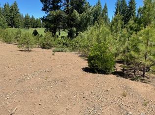 151 Winterwood Dr, Lake Almanor, CA 96137