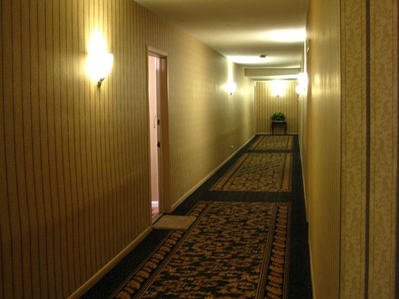 Clean and well maintained hallways throughout the building