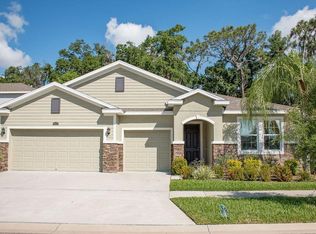 10311 Riverdale Rise Dr, Riverview, FL 33578