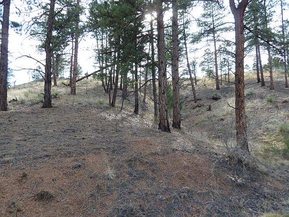 2nd image of 00 Ouray Rd