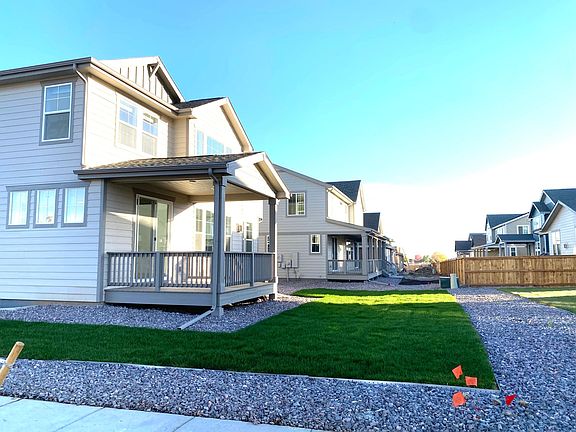 Finished Backyard Lawn