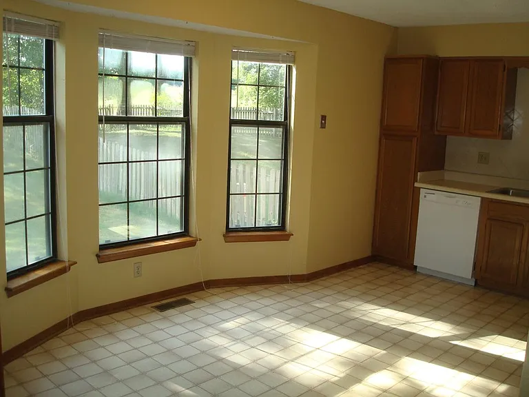 Kitchen Windows