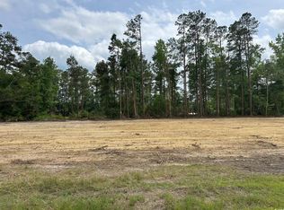 2 Saint John Rd, Galivants Ferry, SC 29544