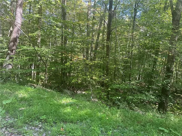 Bowers Road, Fremont Center, NY 12736