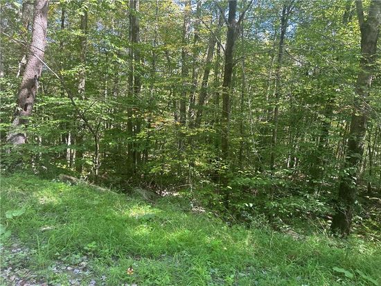 Bowers Road, Fremont Center, NY 12736