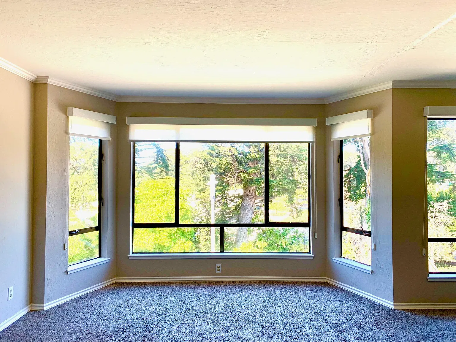 1 bed, $4,995 — Photo 1