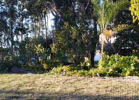 5th image of 2205 Holly Ln