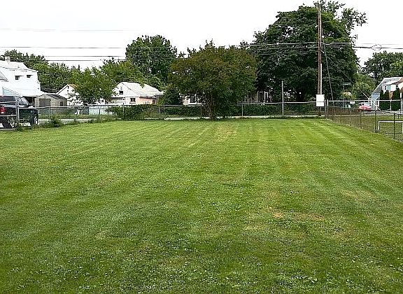Large side yard