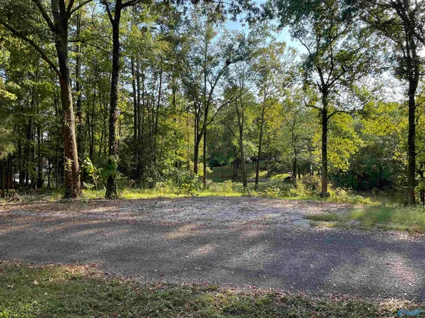 Lots 122 & 123 River Dr, Hollywood, AL 35752