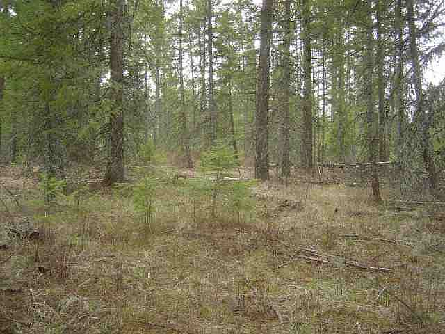1st image of 41000 N Running Deer Ln