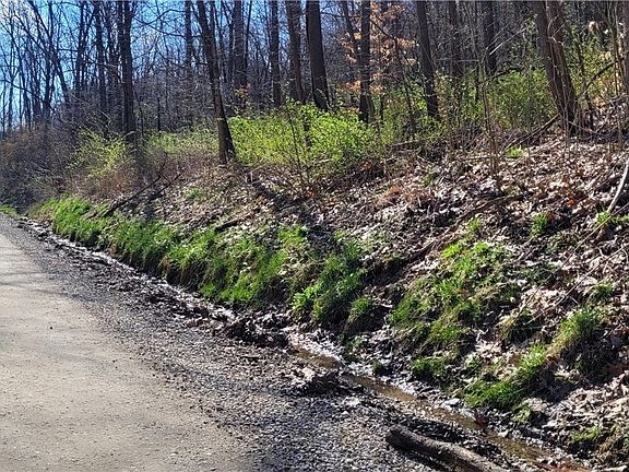 2nd image of 18168 County Road 106