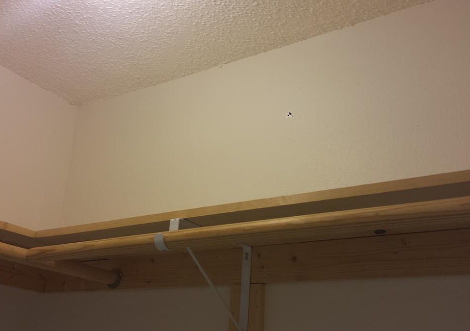 1st image of 641 Kathy Ln APT B