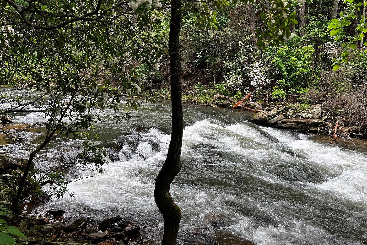 L112 High River Xing, Ellijay, GA 30540 MLS 325006 Zillow