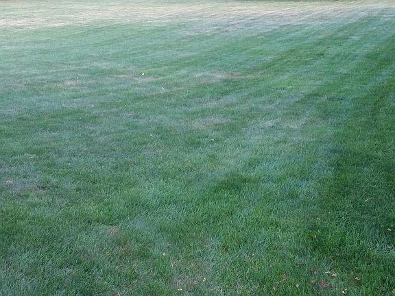 Large spacious lawn