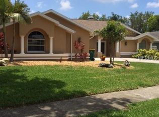 1610 Sand Hollow Ln, Palm Harbor, FL 34683