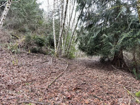 61 E woods Place, Belfair, WA 98528