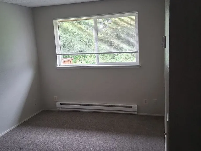 Rainier Vista — Photo 17