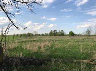 8250 Townline Lake Rd, Lakeview, MI 48850