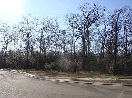3rd image of 3222 Elm Creek Ct