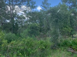 Desert Sparrow Ave, Weeki wachee, FL 34613