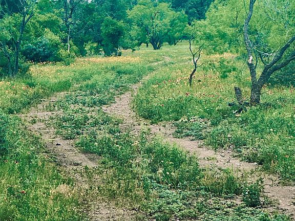 4th image of 401 Fallow Spur