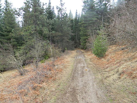2nd image of Nka Canyon View Road