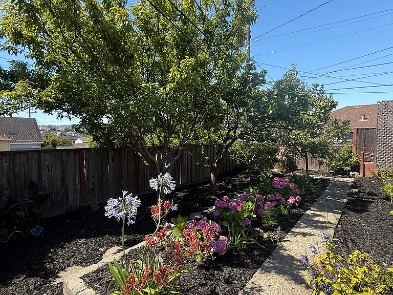 729 Magnolia Ave — Photo 21