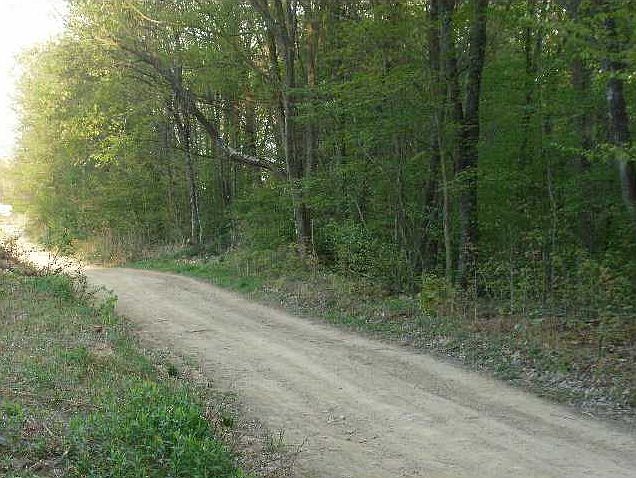 1st image of Bear Ln
