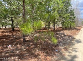 41-4.1 Ella Mae Dr, Saint Pauls, NC 28384