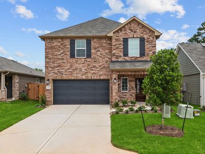 16208 McDonald County Ct, Montgomery, TX, 77316