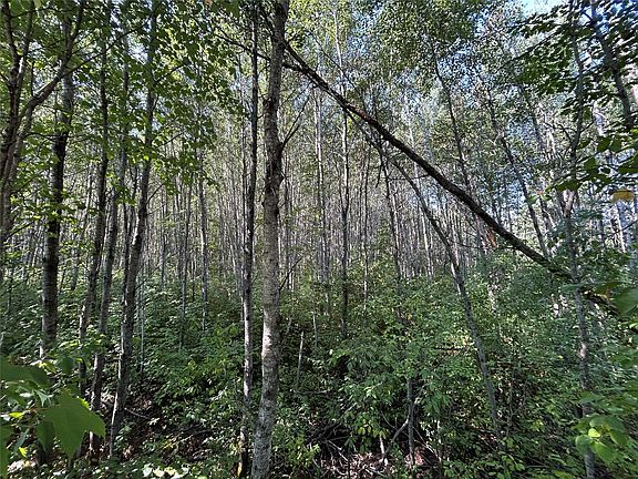 5th image of Near Town Line Road