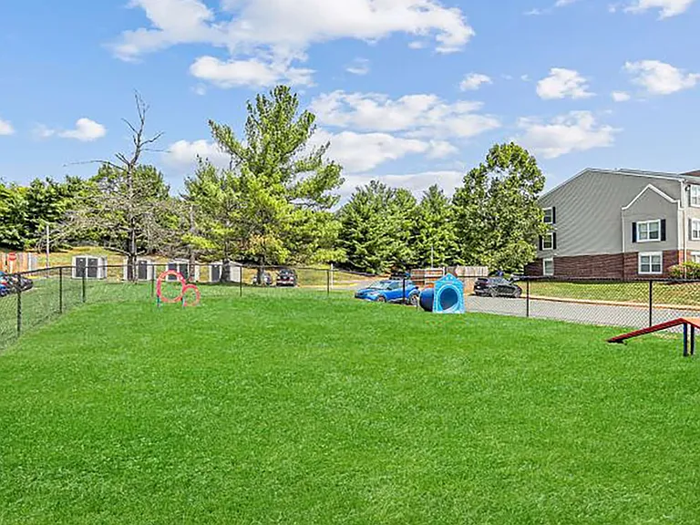 Cortland Manassas — Photo 22