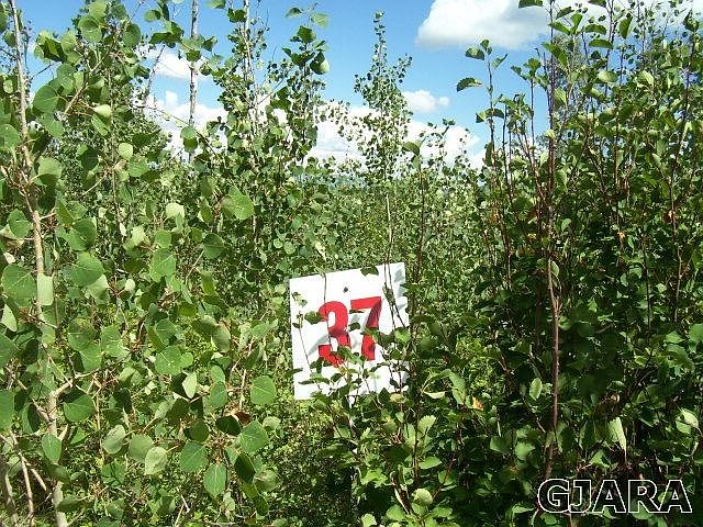 1st image of 4864 Deer Path