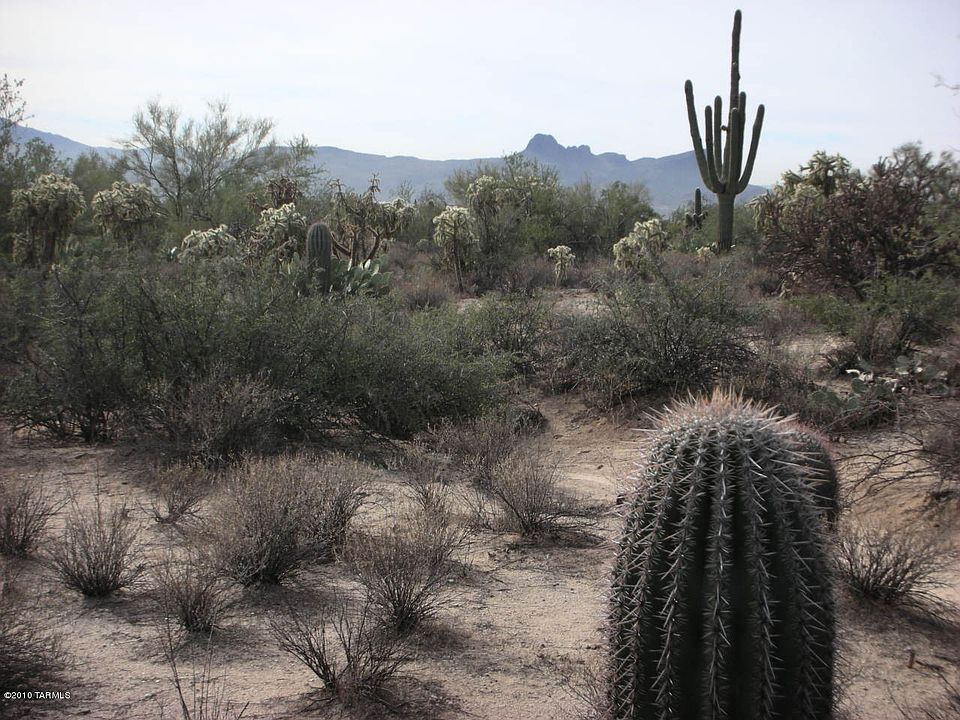 1st image of W Desert Falcon Ln #0