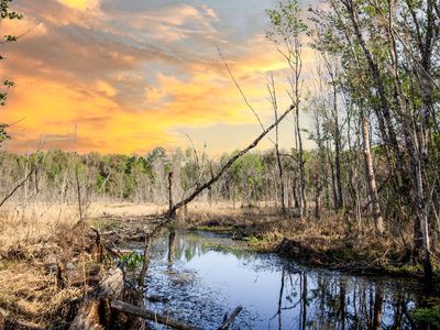 SW 127th Ave, Archer, FL, 32618